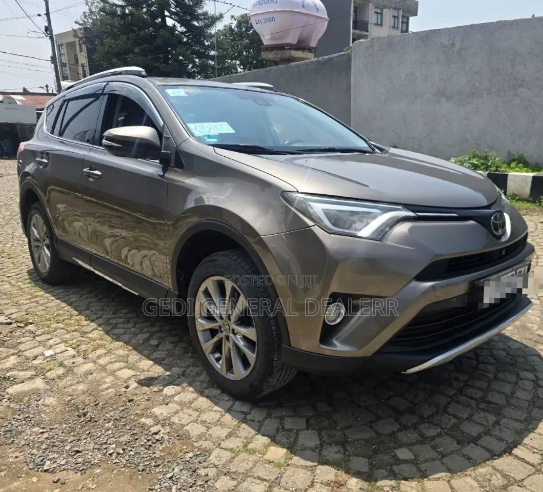 Toyota RAV4 2018 Brown
