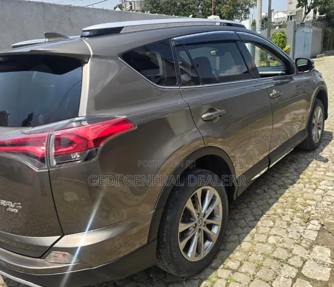 Toyota RAV4 2018 Brown