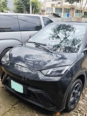 BYD Seagull 2024 Black