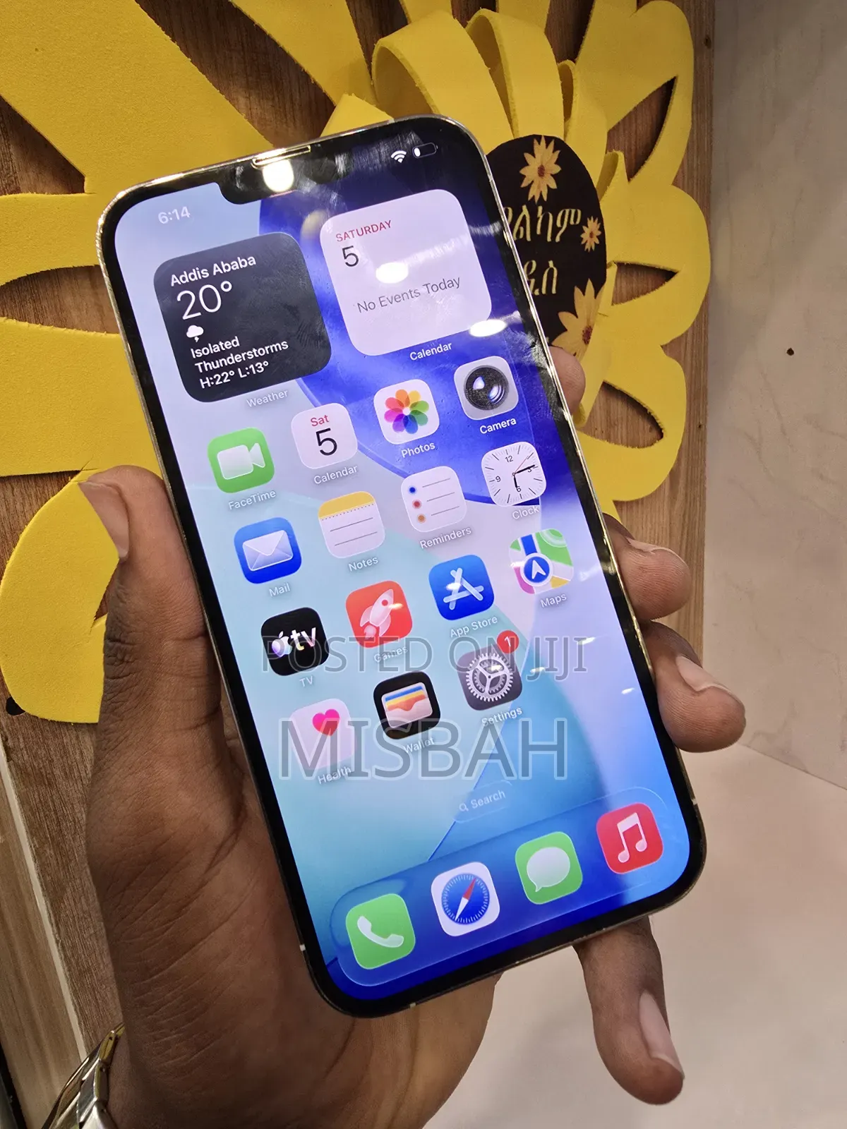 Apple iPhone 13 Pro Max 256 GB Silver