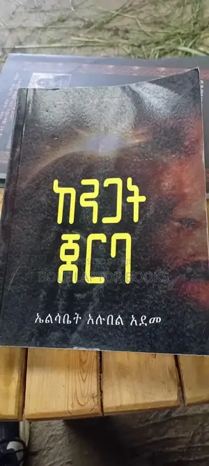 ከንጋት ጀርባ ደራሲ ኤልሳቤት አሉበል
