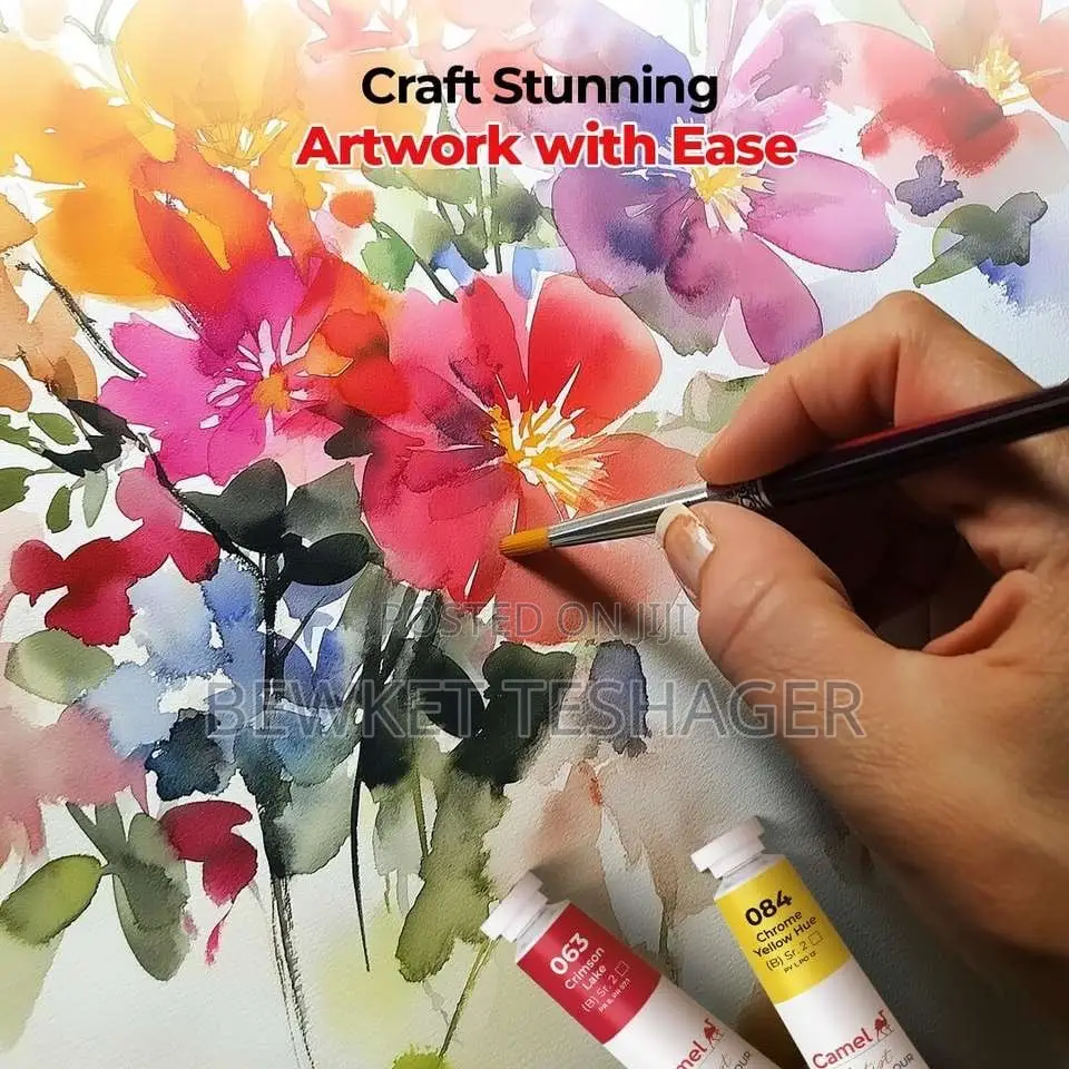 Professional Water Color Paint
