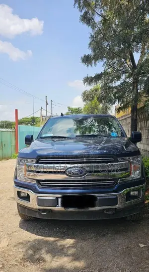 Ford F-150 Lariat 4x2 SuperCrew Cab Styleside 5.5 ft. box 145 in. WB Blue