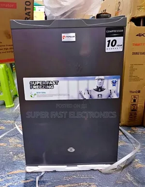 Popular Mini Refrigerator 120 With 10-Year Compressor Warranty