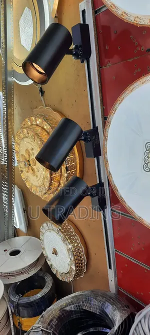 Magnetic Light