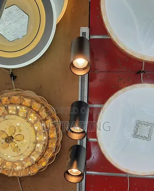 Magnetic Light