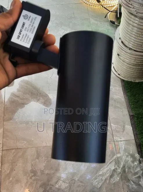 Magnetic Light