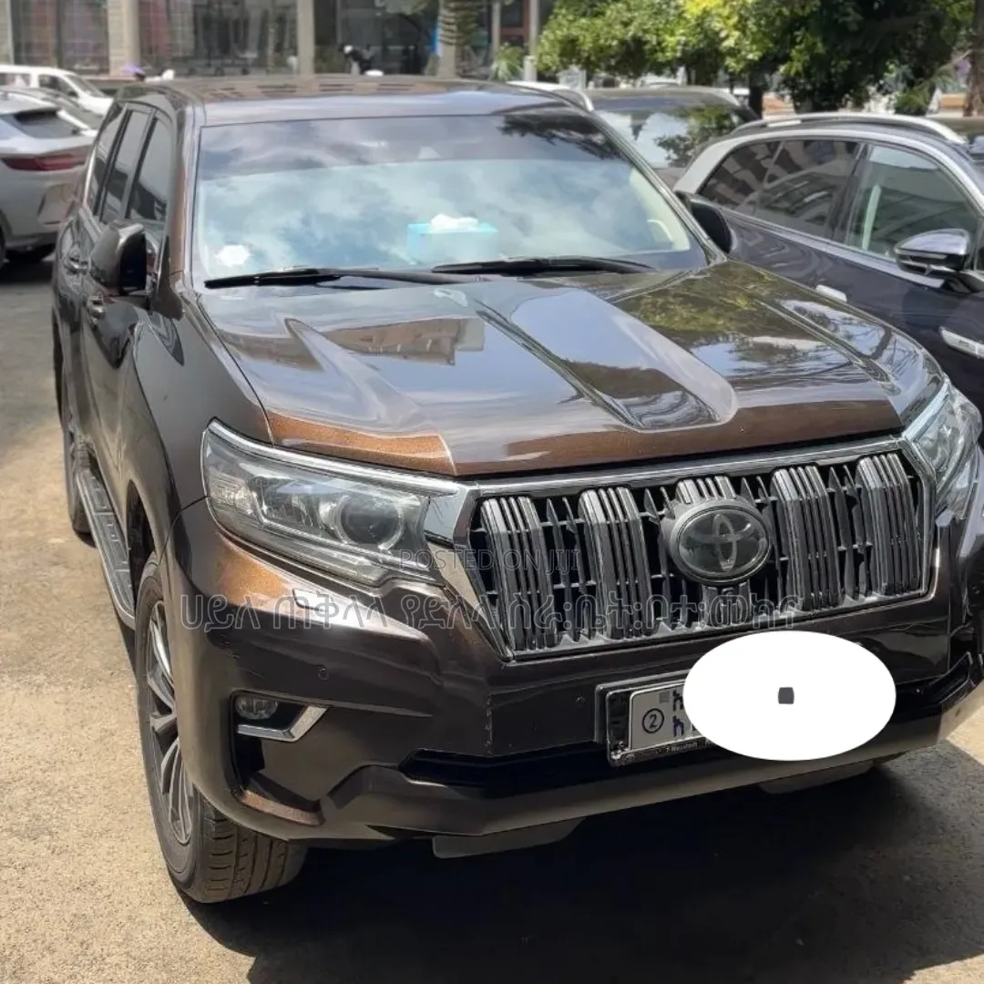 Toyota Land Cruiser Prado 2019 Brown