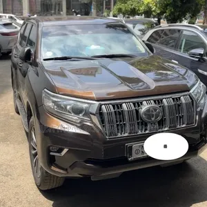 Toyota Land Cruiser Prado 2019 Brown
