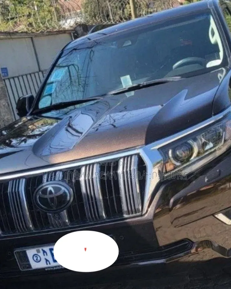 Toyota Land Cruiser Prado 2019 Brown