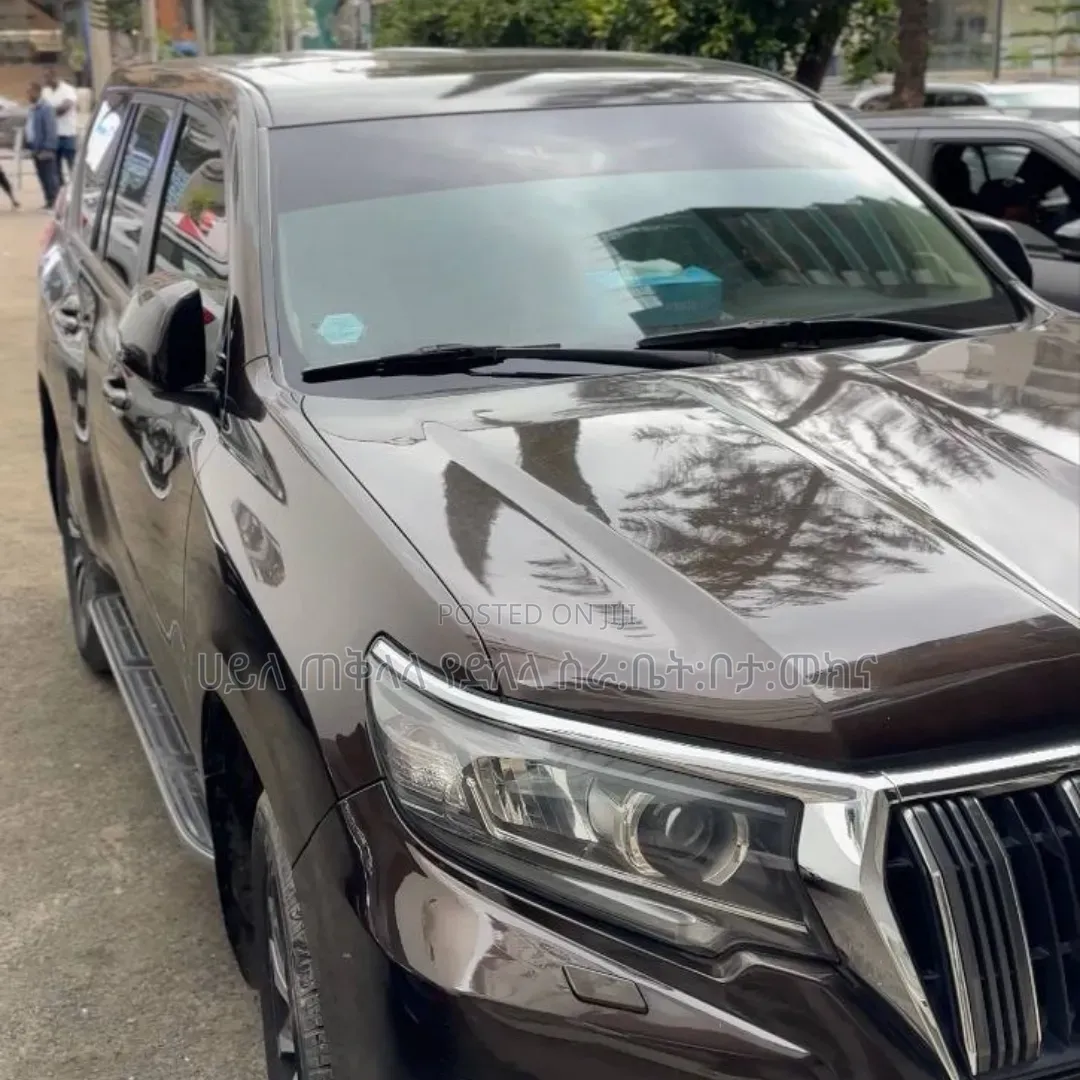 Toyota Land Cruiser Prado 2019 Brown