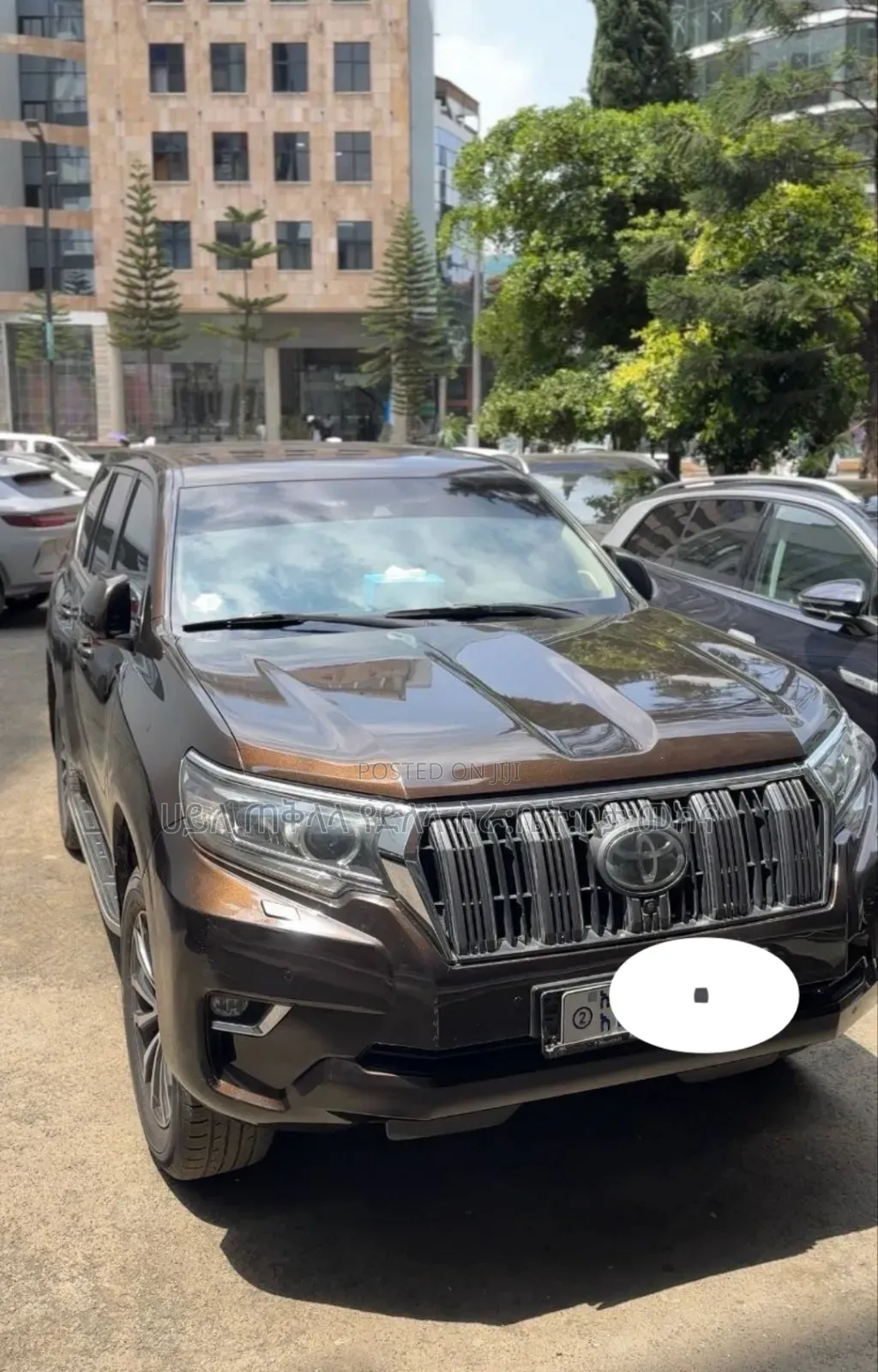 Toyota Land Cruiser Prado 2019 Brown