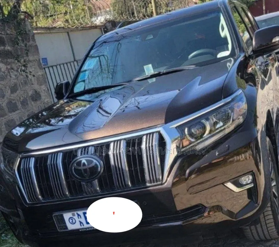 Toyota Land Cruiser Prado 2019 Brown