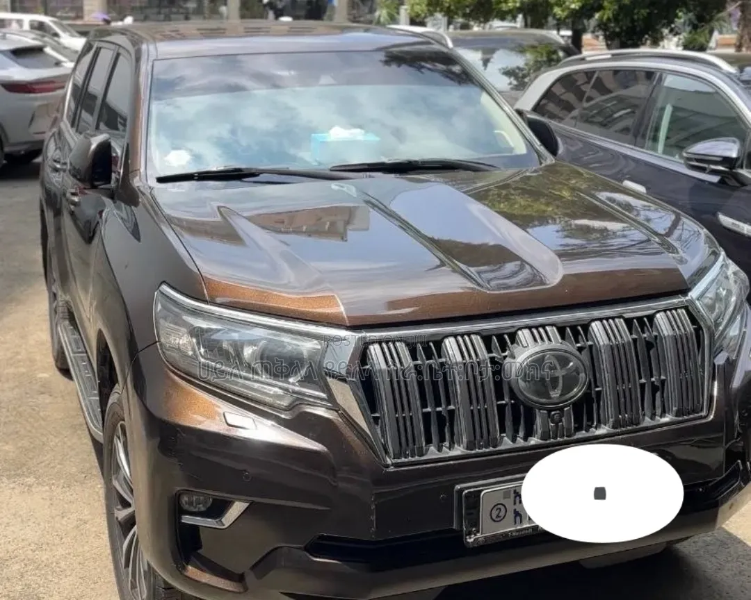 Toyota Land Cruiser Prado 2019 Brown