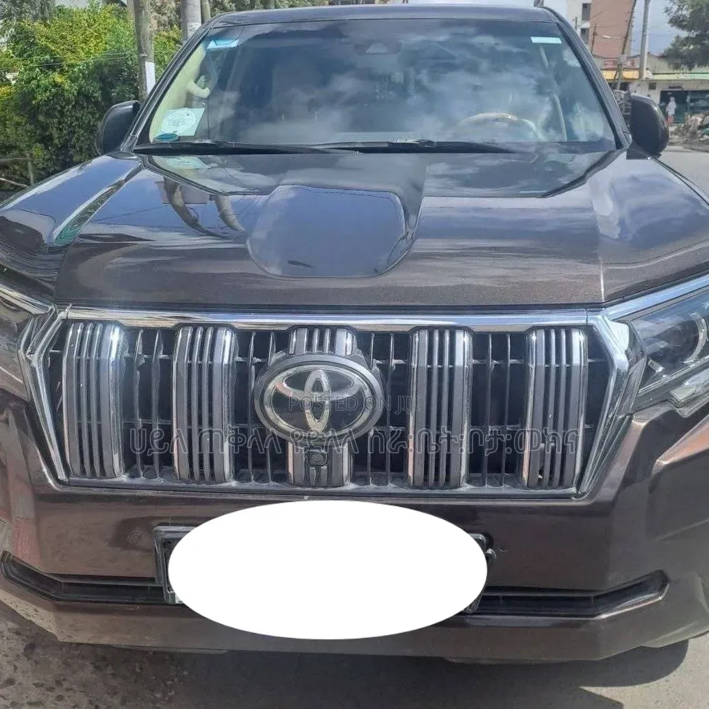 Toyota Land Cruiser Prado 2019 Brown