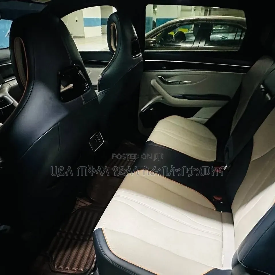 BYD Song Plus 2025 Purple