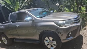 Toyota Hilux 2019 Purple