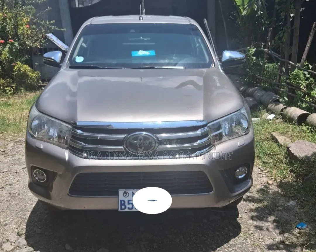 Toyota Hilux 2019 Purple