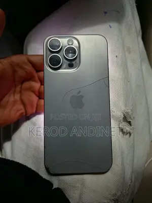 Apple iPhone 15 Pro Max 256 GB Graphite