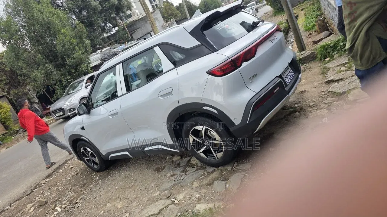 BYD Yuan Up 2025