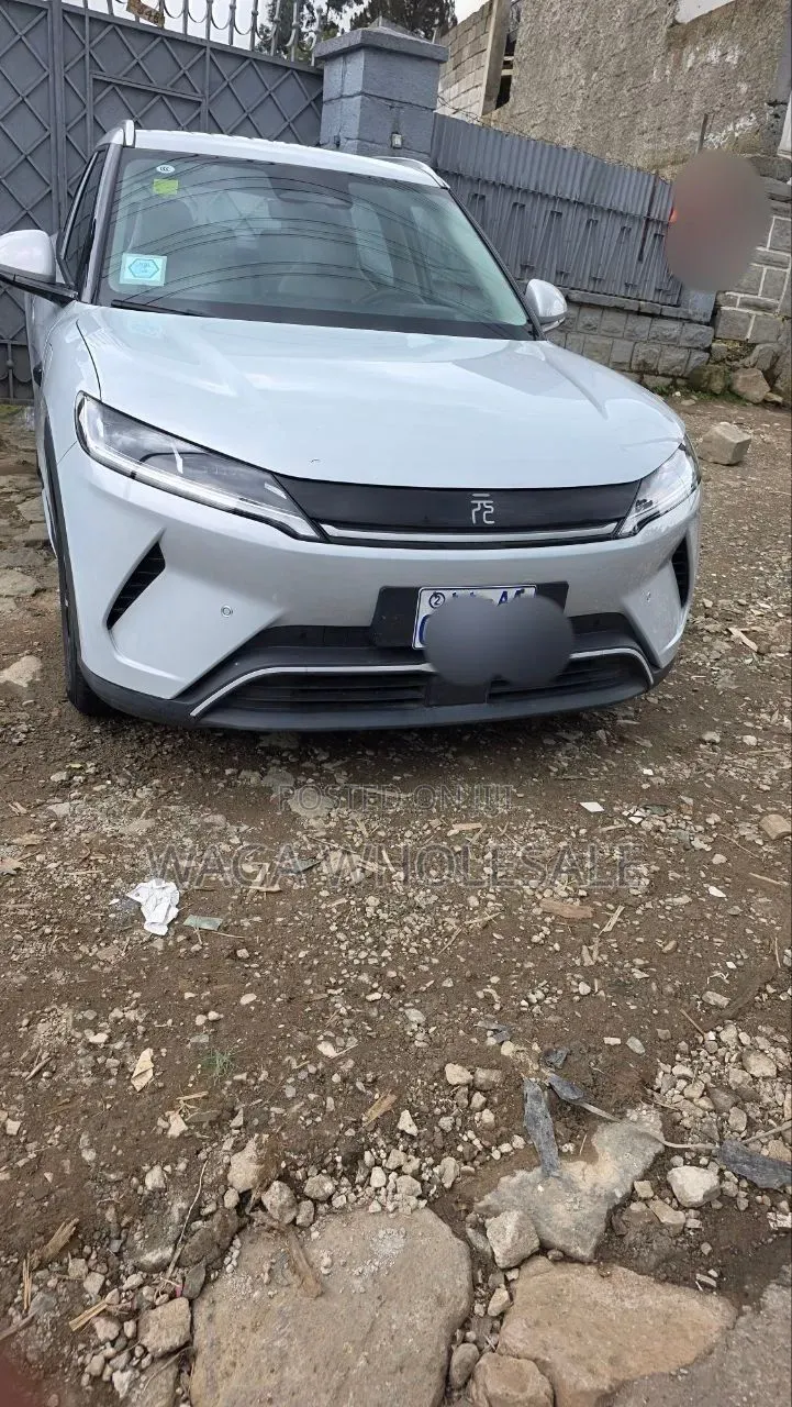 BYD Yuan Up 2025