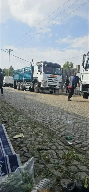 Seno Kasone Bashelto