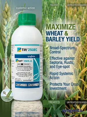 Tilt 250 EC, Broad-Spectrum Systemic Fungicide