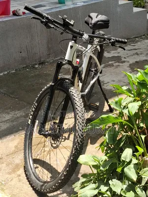 Trek Bikd White