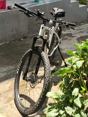 Trek Bikd White