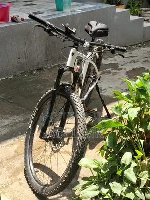 Trek Bikd White