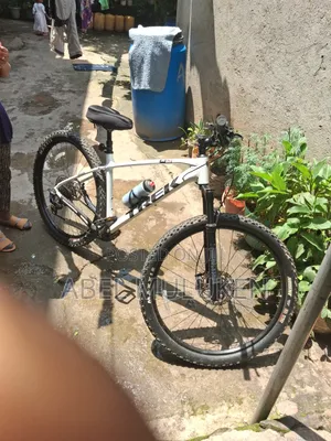 Trek Bikd White