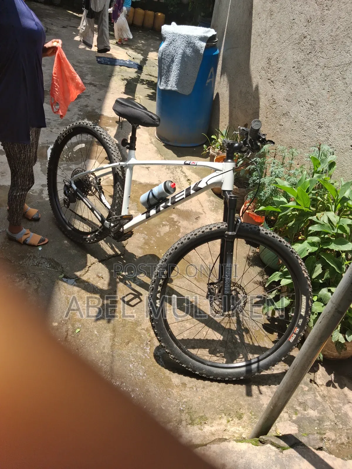 Trek Bikd White