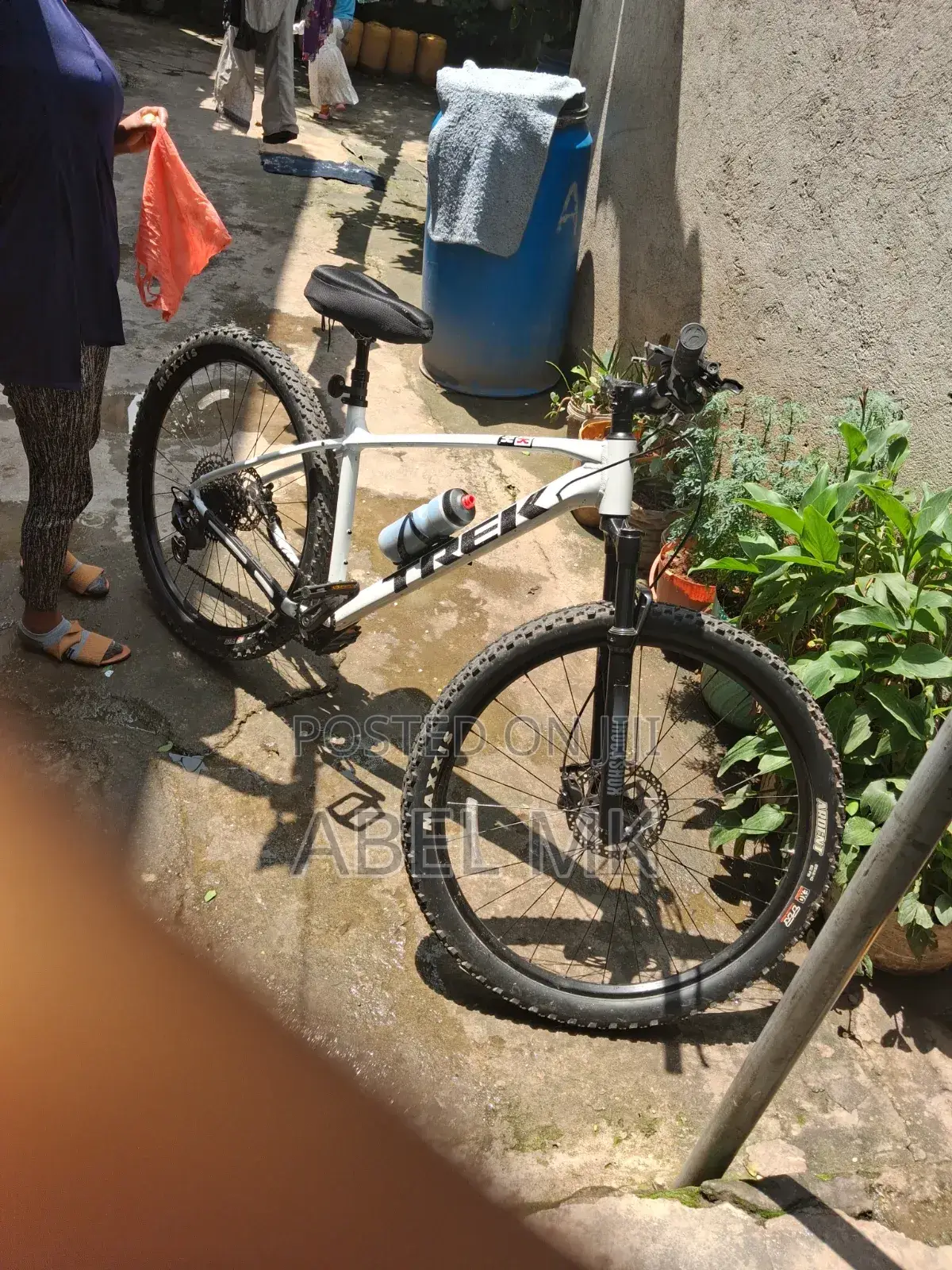 Trek Bikd White