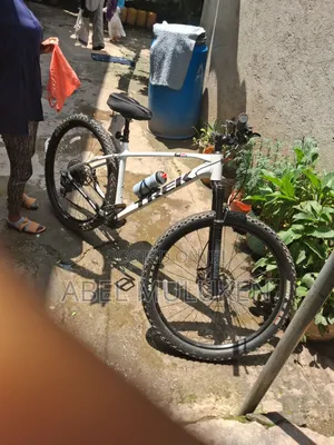 Trek Bikd White