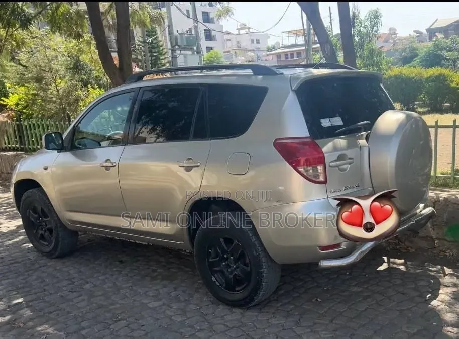 Toyota RAV4 2007 Gray