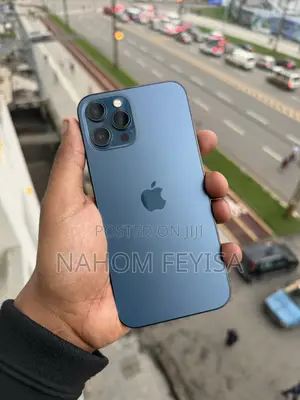 Apple iPhone 12 Pro Max 256 GB Blue