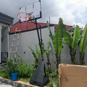 Basketball Training Stand