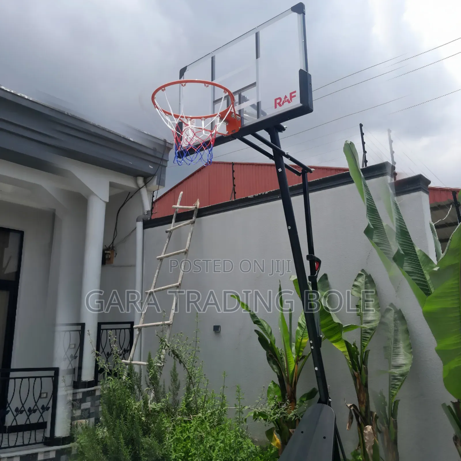Real Basketball Players