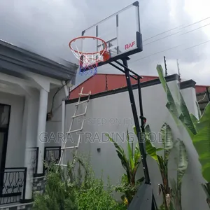 Real Basketball Players