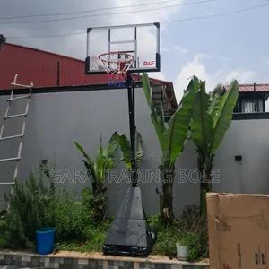 Real Basketball Players