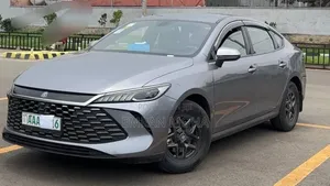 BYD Qin Plus DM-i 2025 Gray
