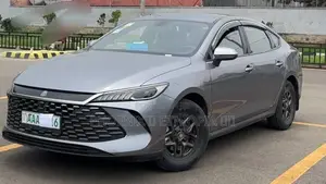 BYD Qin Plus DM-i 2025 Gray