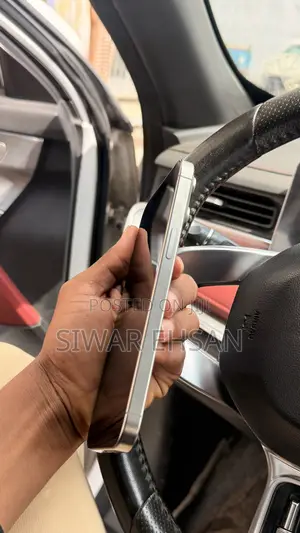 Apple iPhone 15 Pro Max 256 GB Gray