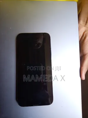Apple iPhone 13 Pro Max 128 GB Green