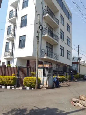 Furnished 15bdrm Apartment in Bole for sale