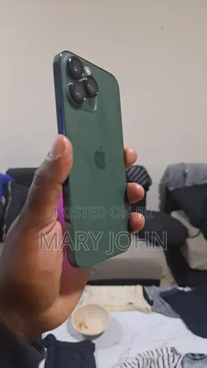 Apple iPhone 13 Pro Max 256 GB Gray