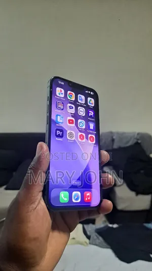 Apple iPhone 13 Pro Max 256 GB Gray