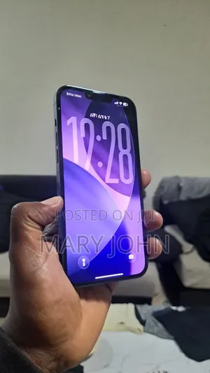 Apple iPhone 13 Pro Max 256 GB Gray