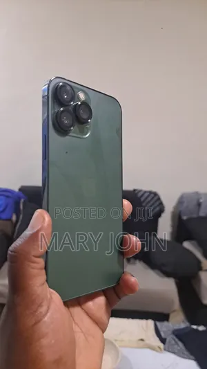Apple iPhone 13 Pro Max 256 GB Gray