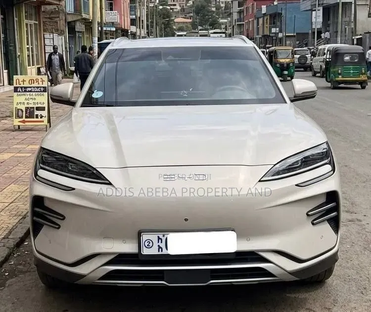 New BYD Song Plus 2025 Gray